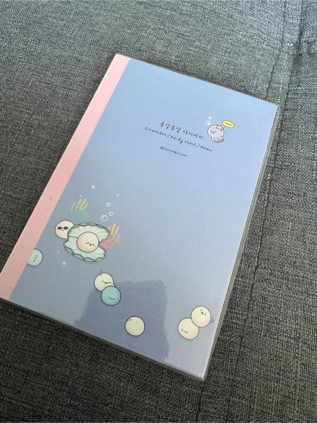 Diary/schedule planner; cute thumbnail