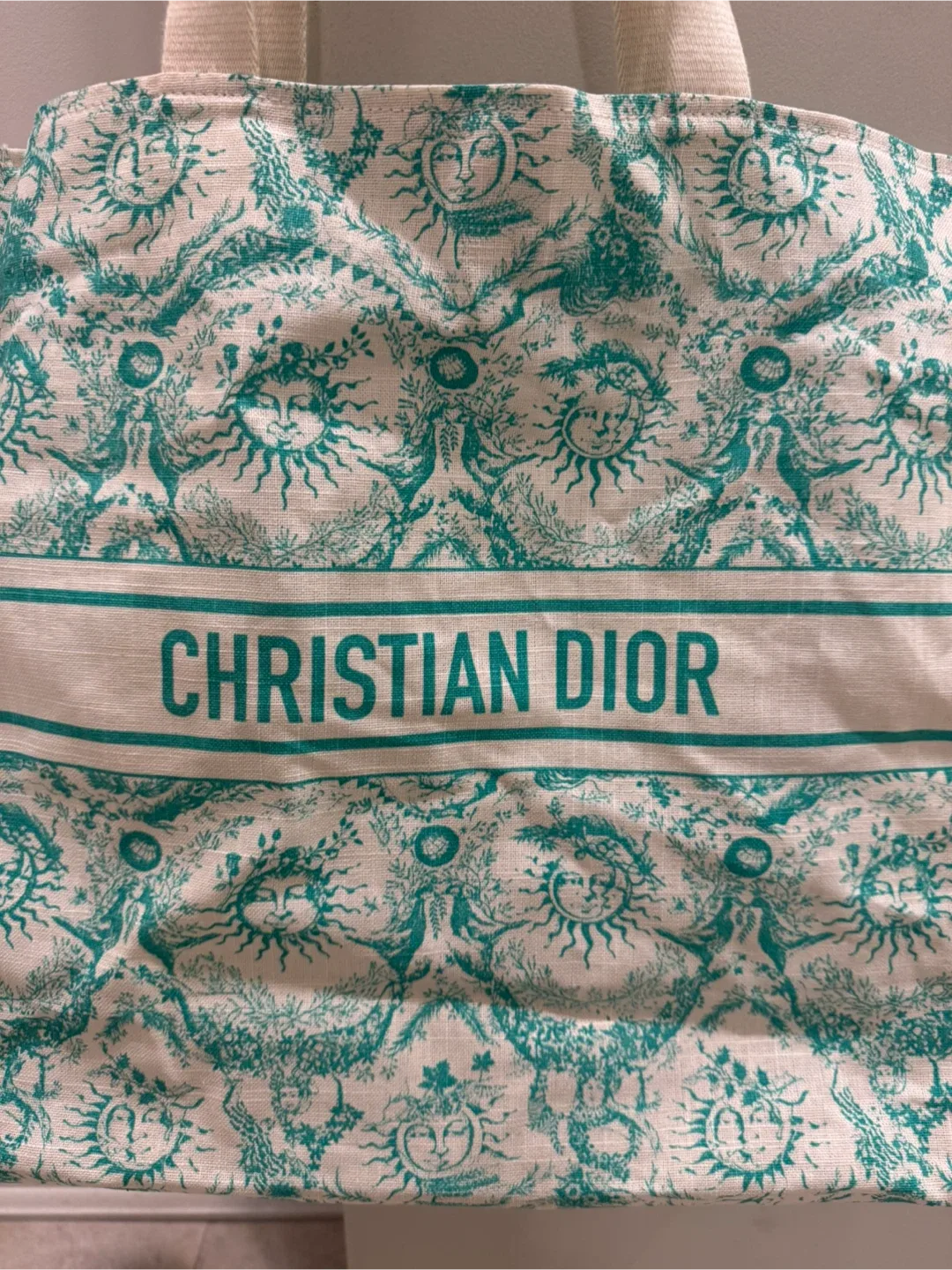 Christian Dior Dioriviera Tote Bag image indicator(9)