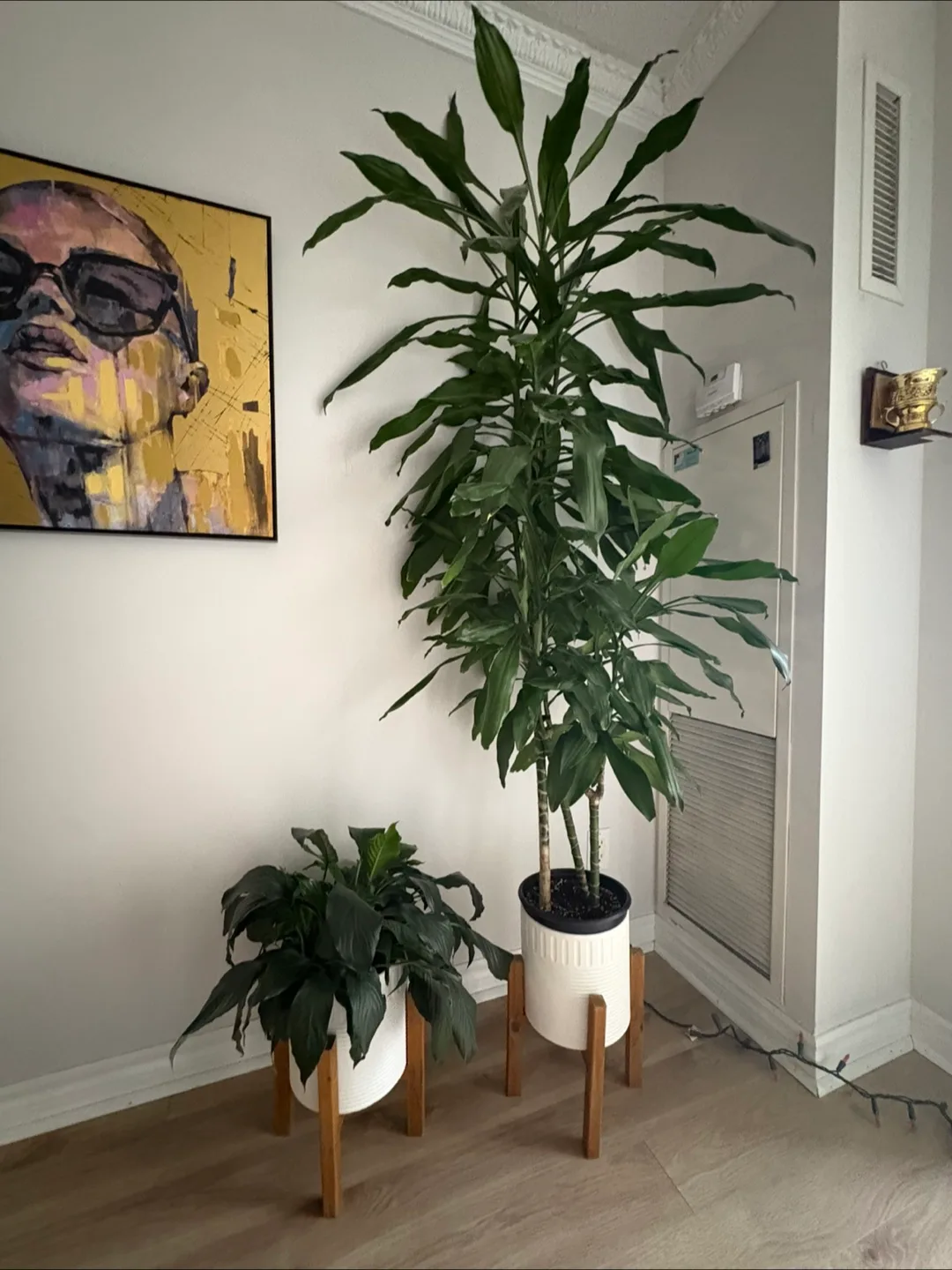 Plants thumbnail