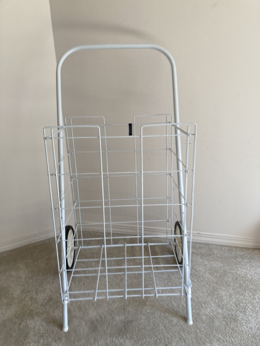 Grocery shopping cart - photo 2