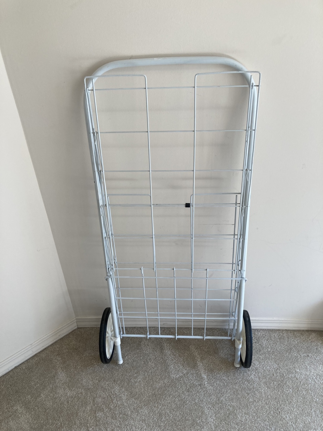 Grocery shopping cart - photo 4