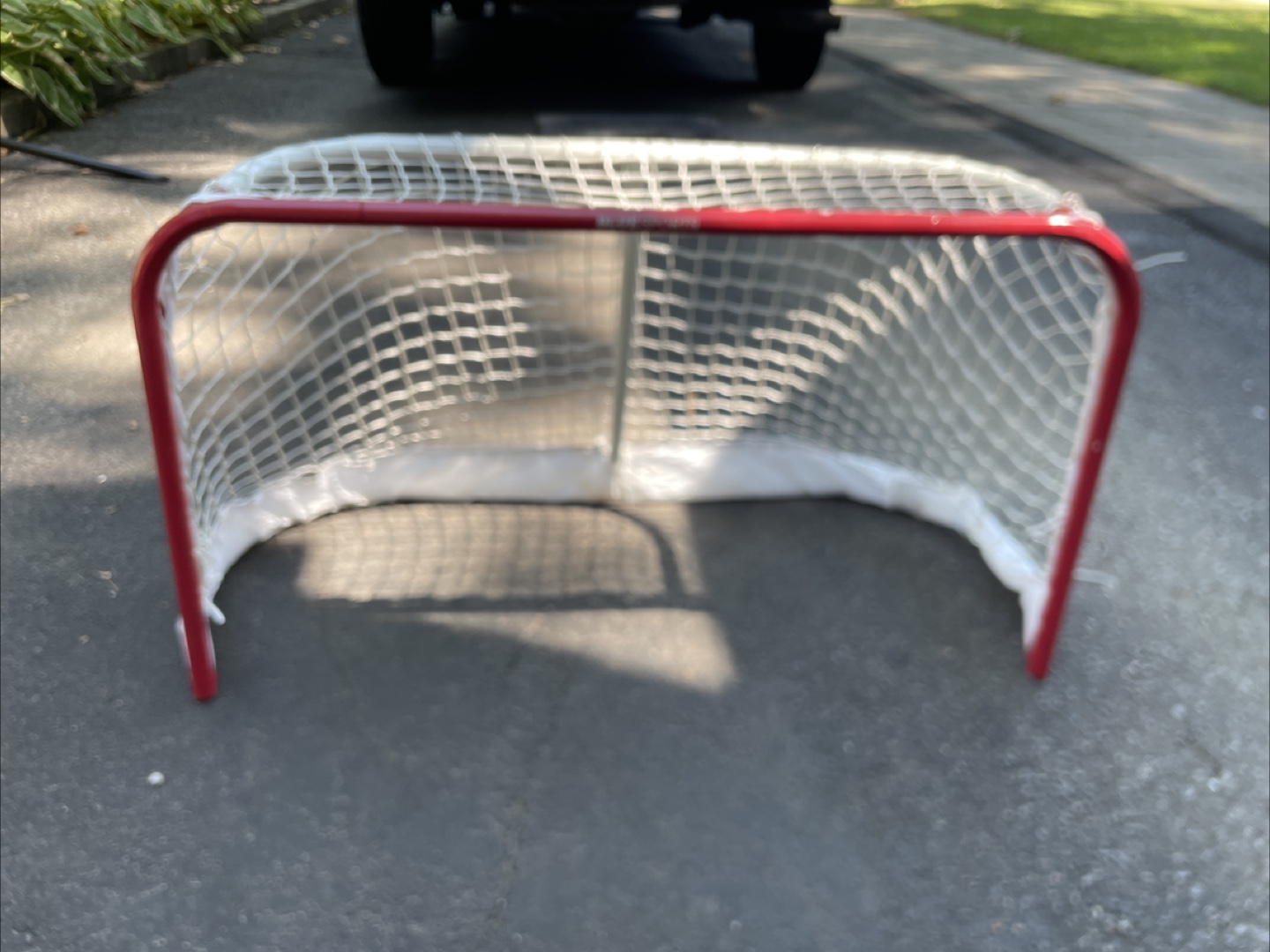 Hockey Net - Great for Backyard Rink!