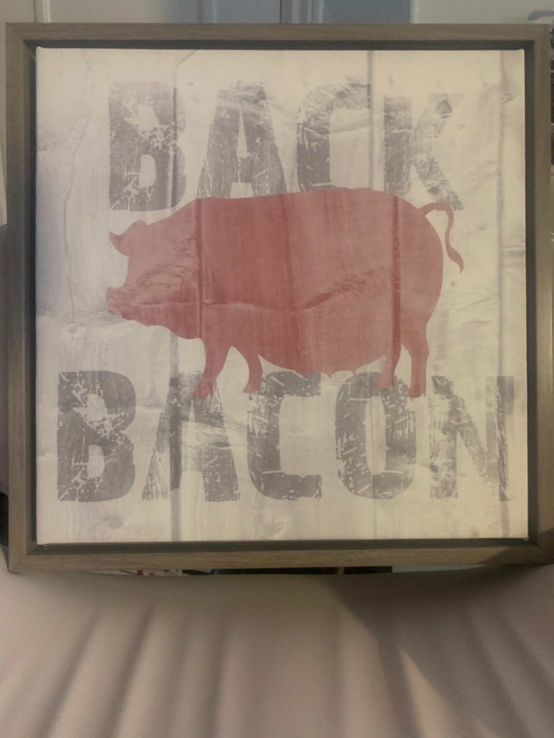 Kitchen Portraits - Bacon, Milk, Eggs