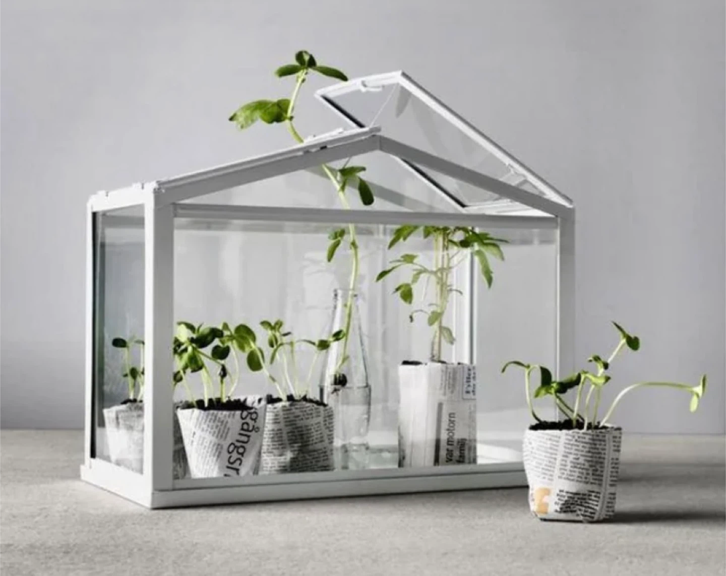 IKEA Socker Greenhouse - Indoor/Outdoor - photo 3