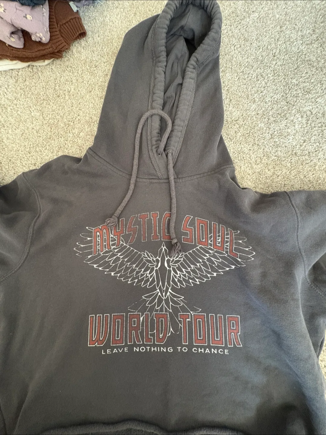 Hollister Mystic Soul Hoodie - Size Small thumbnail