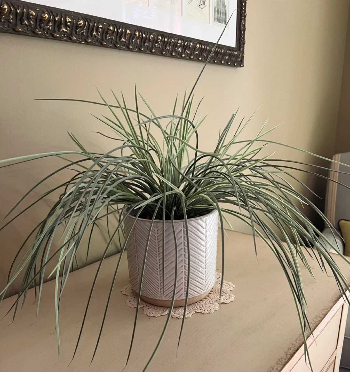 Potted Artificial Spider Plant thumbnail