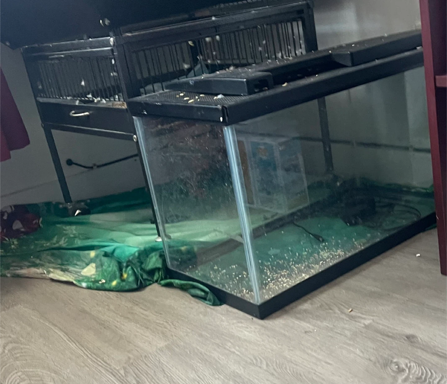 Fish Tank-20 gallon