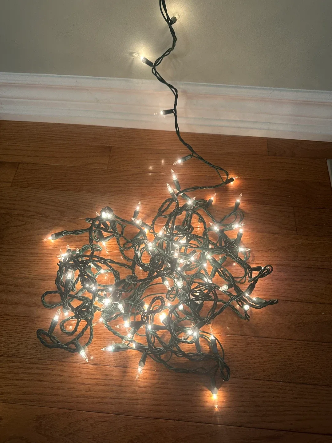 103 Christmas lights thumbnail