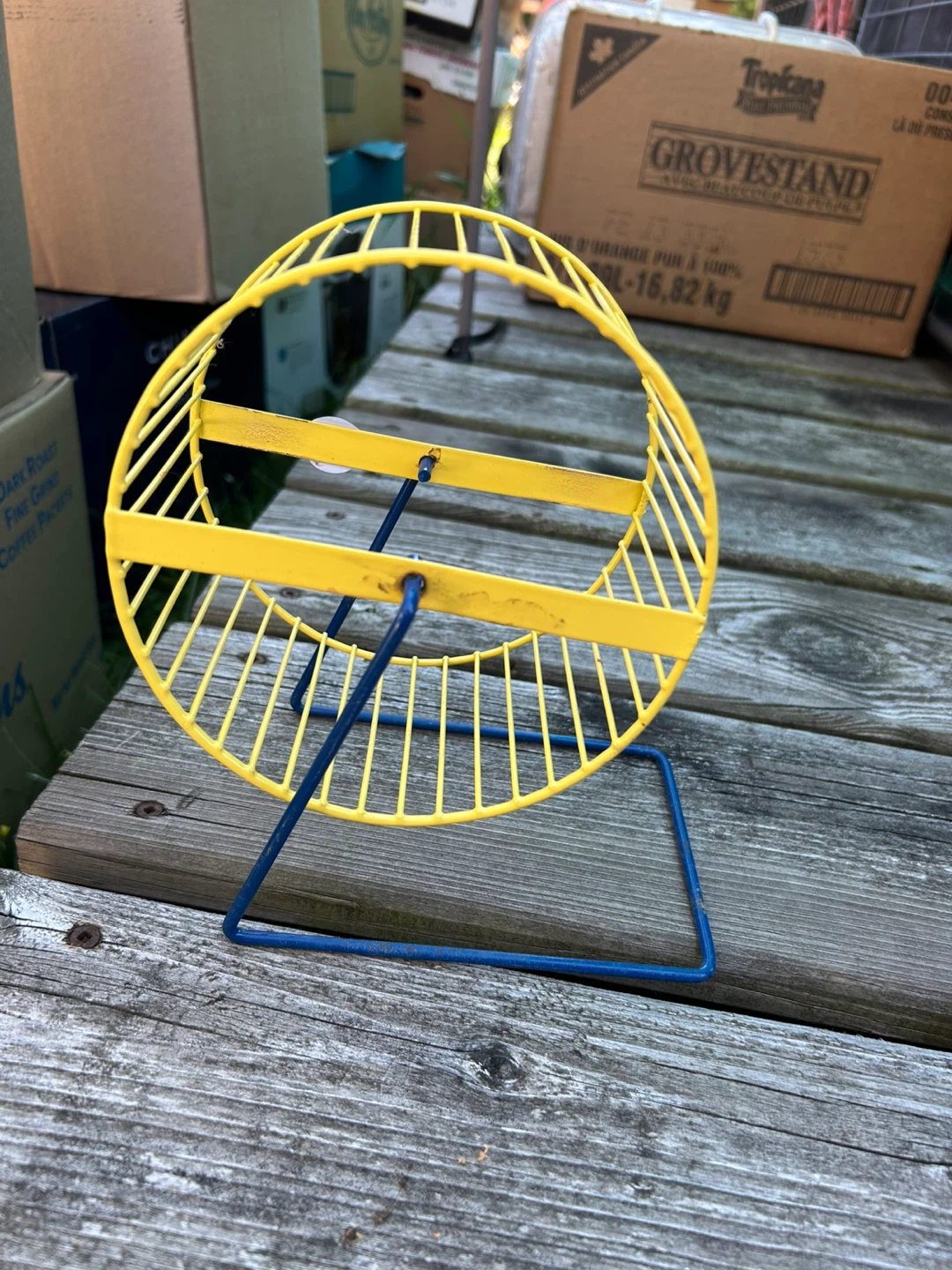 Yellow Hamster Wheel