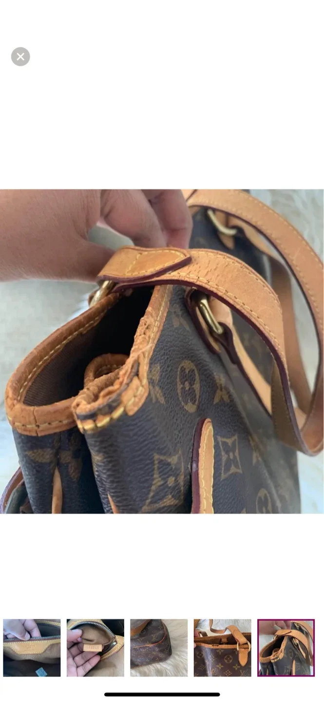 Louis Vuitton Monogram Canvas Handbag image indicator(7)