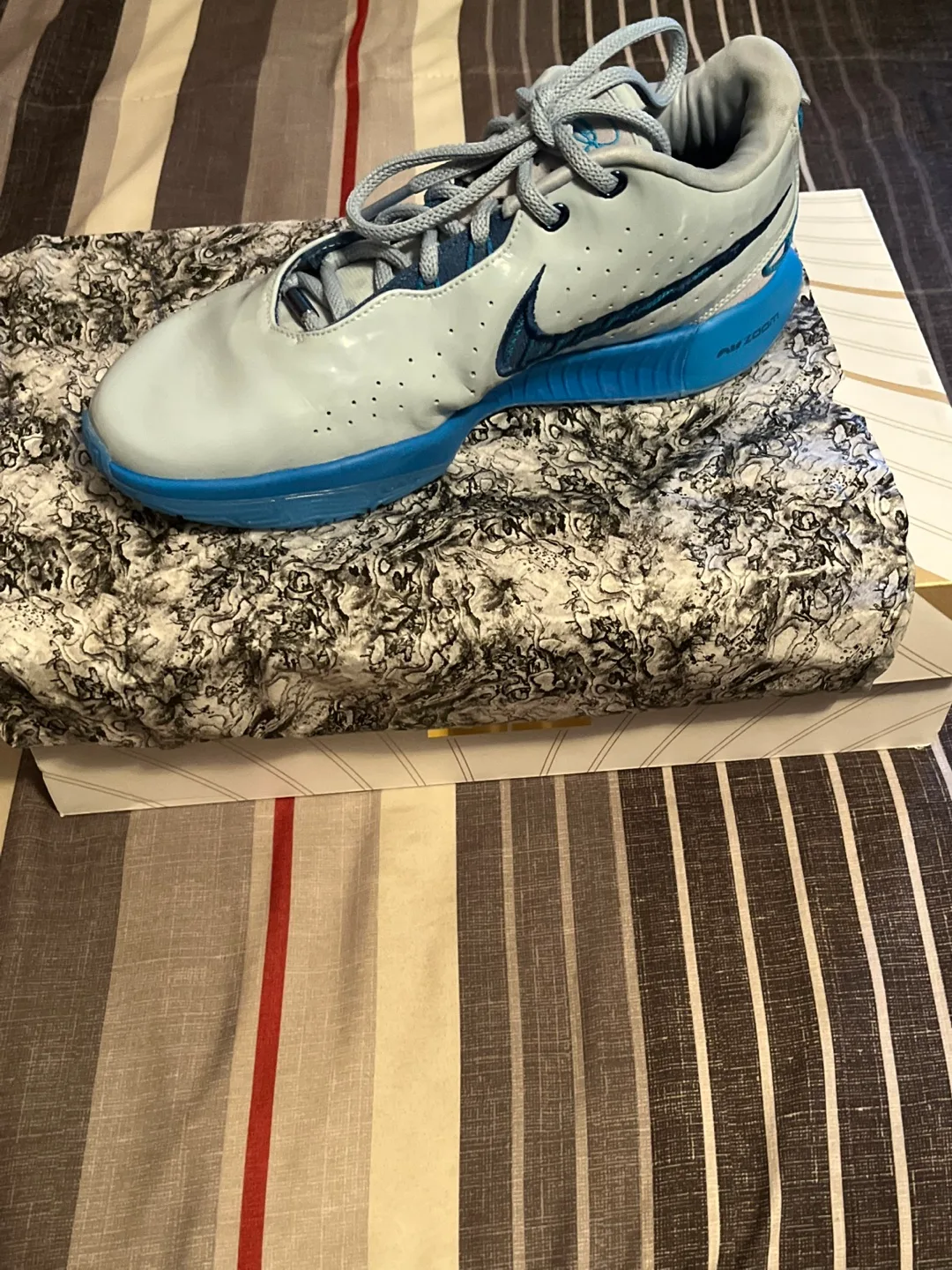 Nike LeBron XXI (21) Light Armory Blue, Size 9.5 image indicator(5)