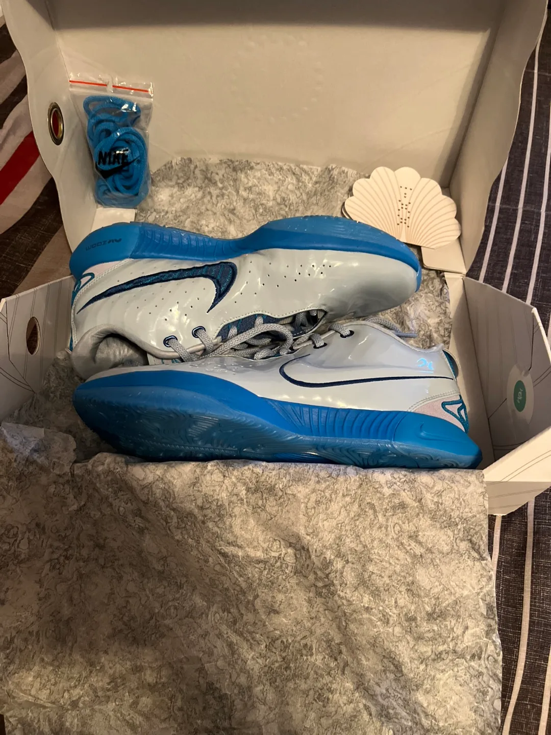 Nike LeBron XXI (21) Light Armory Blue, Size 9.5 image indicator(3)