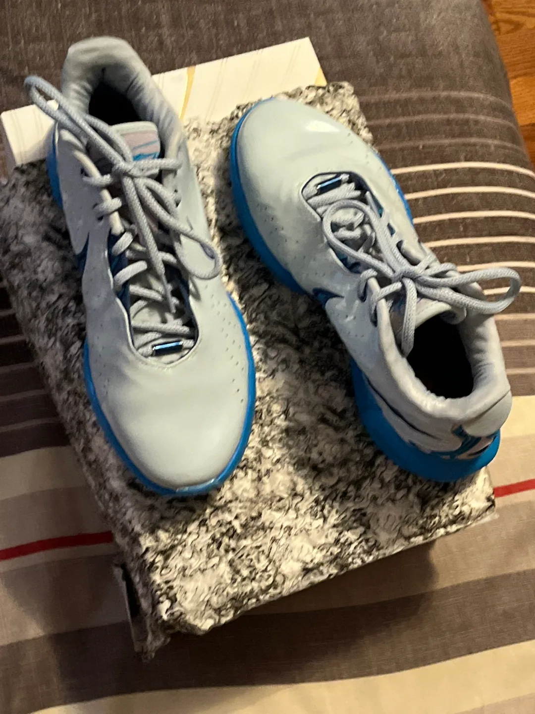Nike LeBron XXI (21) Light Armory Blue, Size 9.5 image indicator(4)