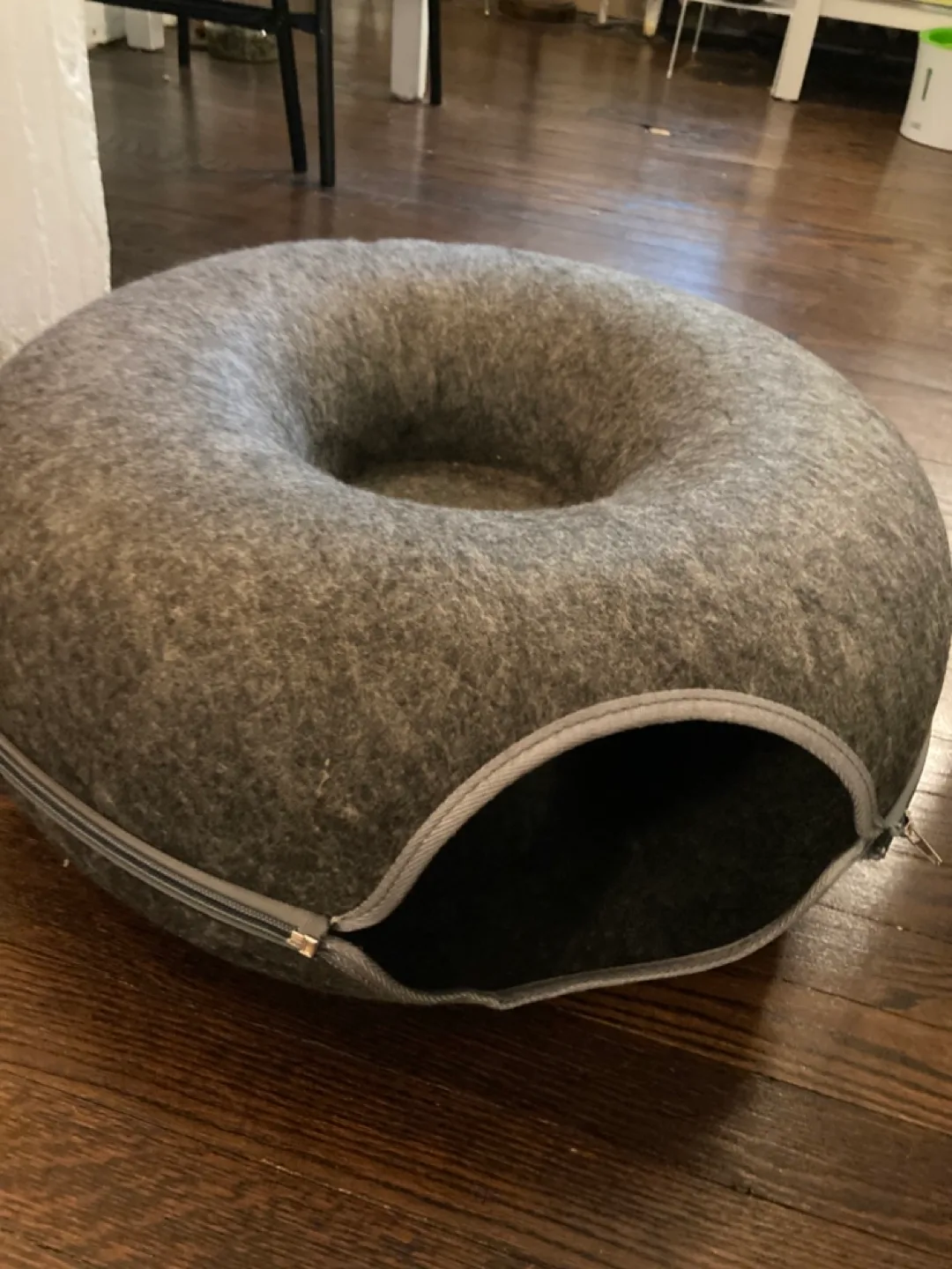 Cat doughnut tunnel thumbnail