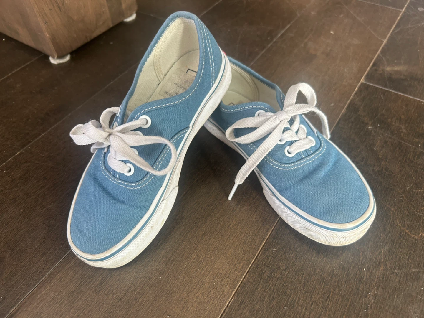 Vans Blue Canvas Sneakers