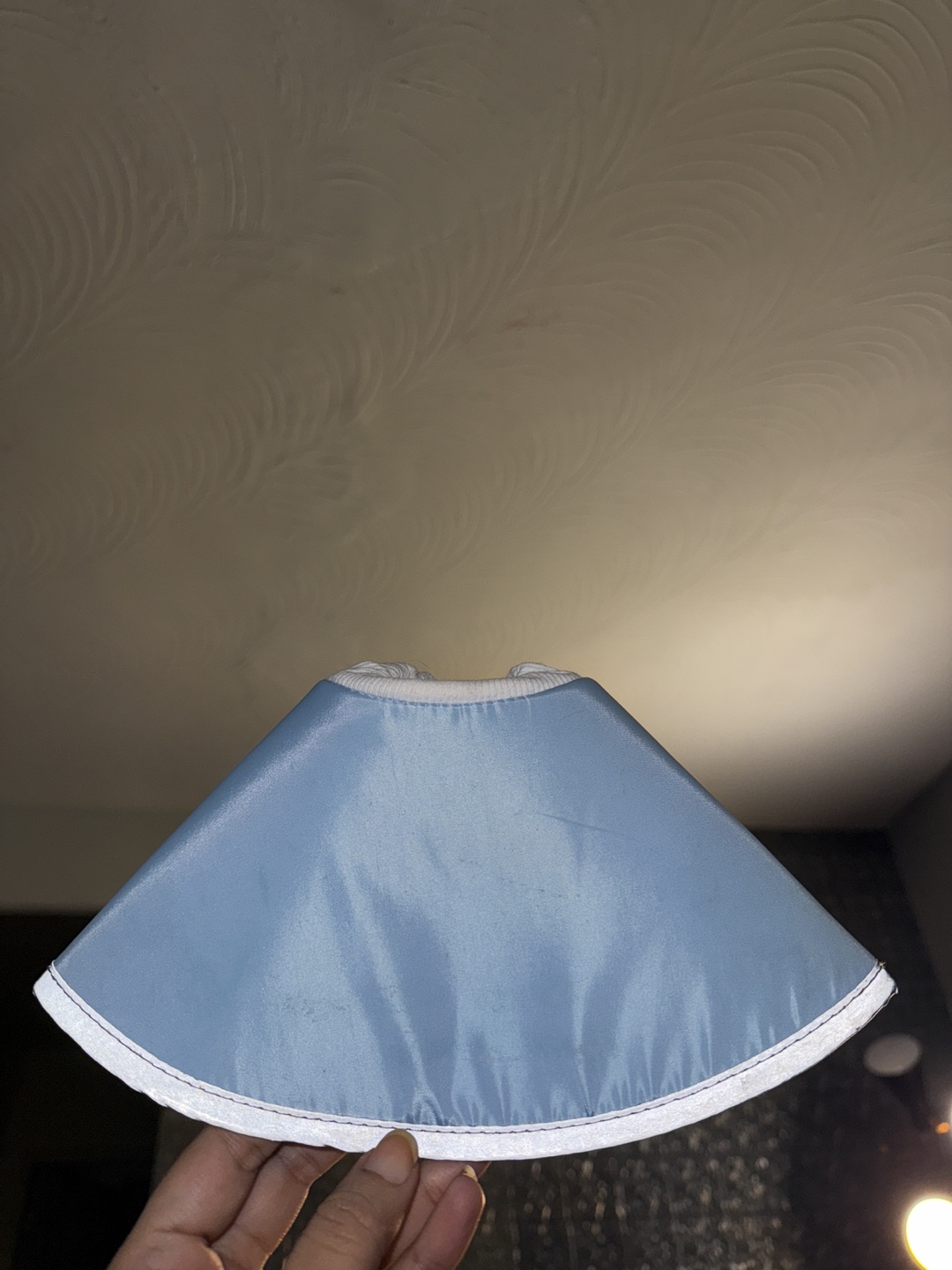 Pet Recovery Collar - Blue - photo 2
