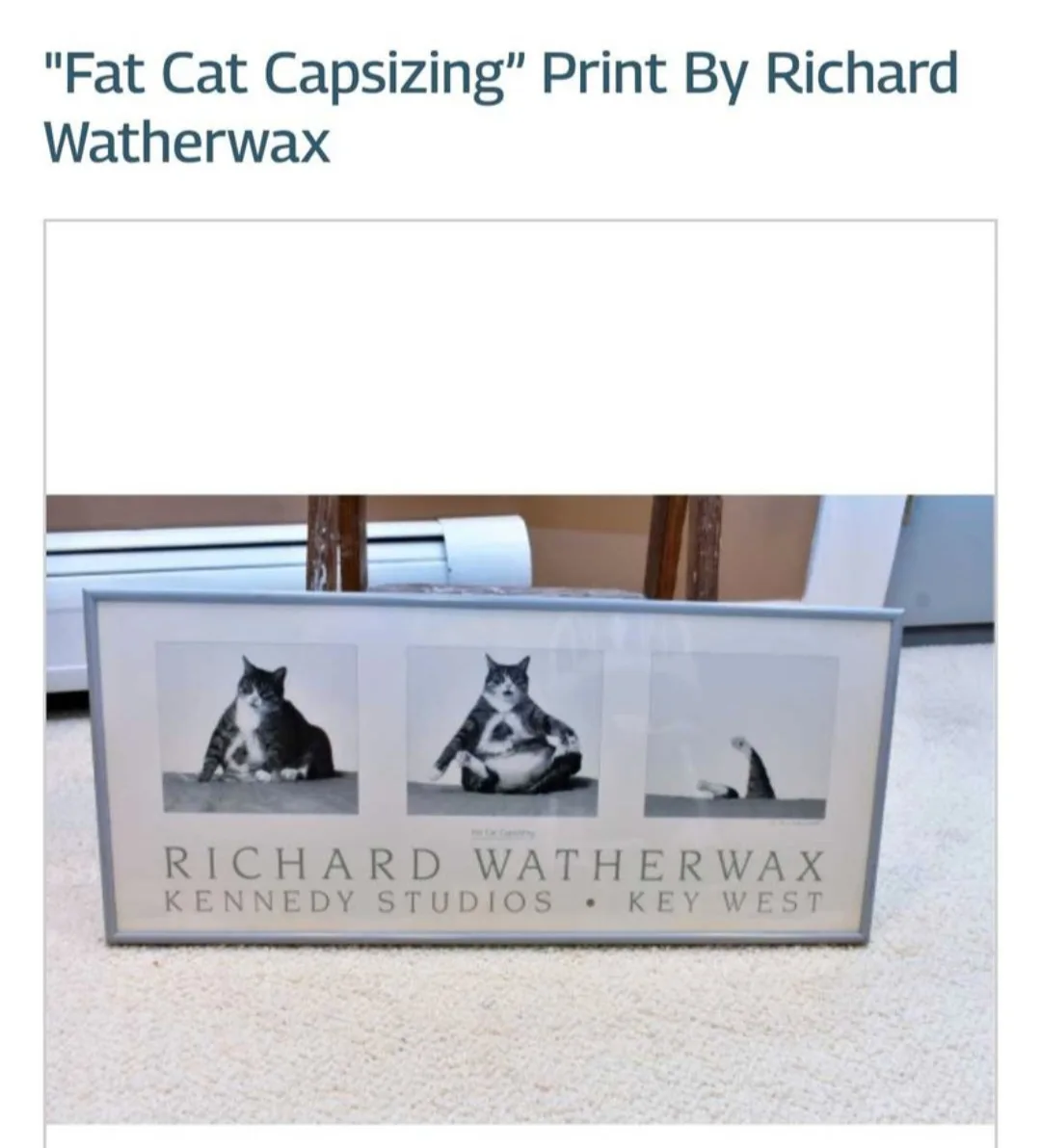 "Fat Cat Capsizing" Print By Richard Watherwax image indicator(2)