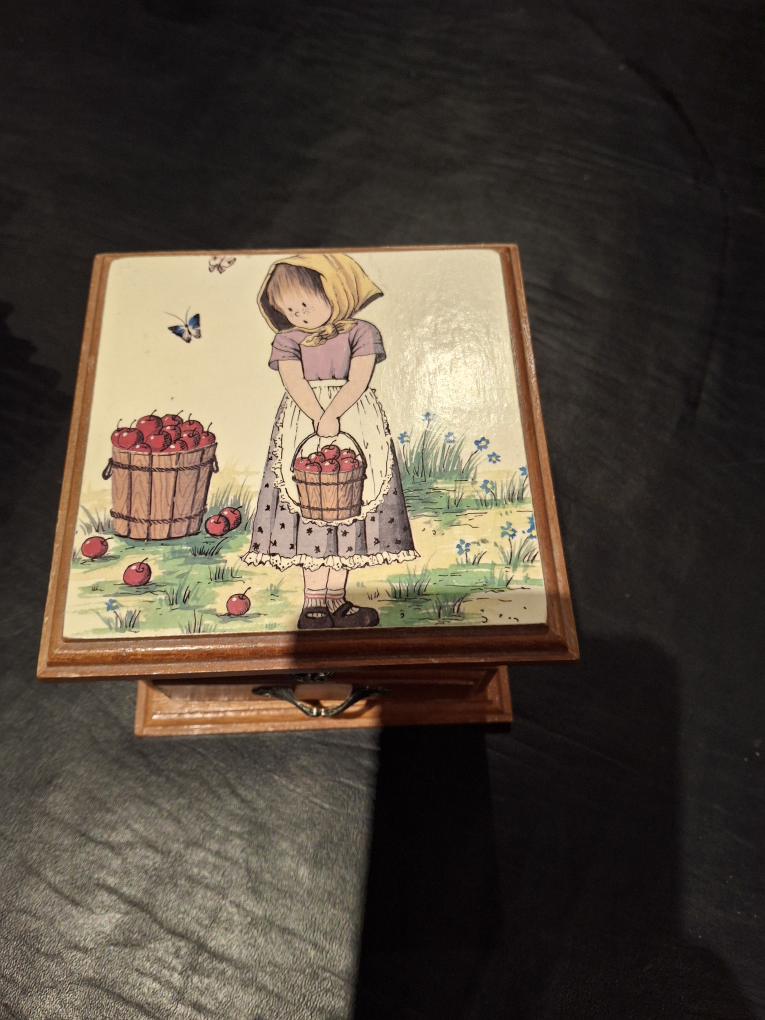 Beautiful vintage musical jewelry box
