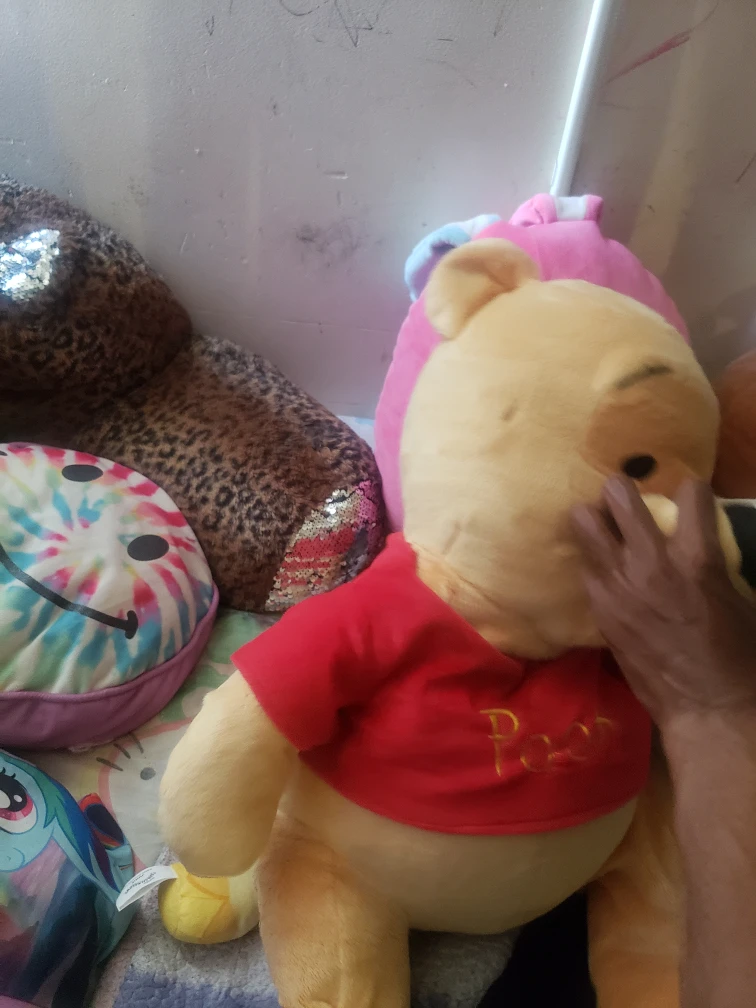 Winnie the Pooh Plush Toy - photo 3