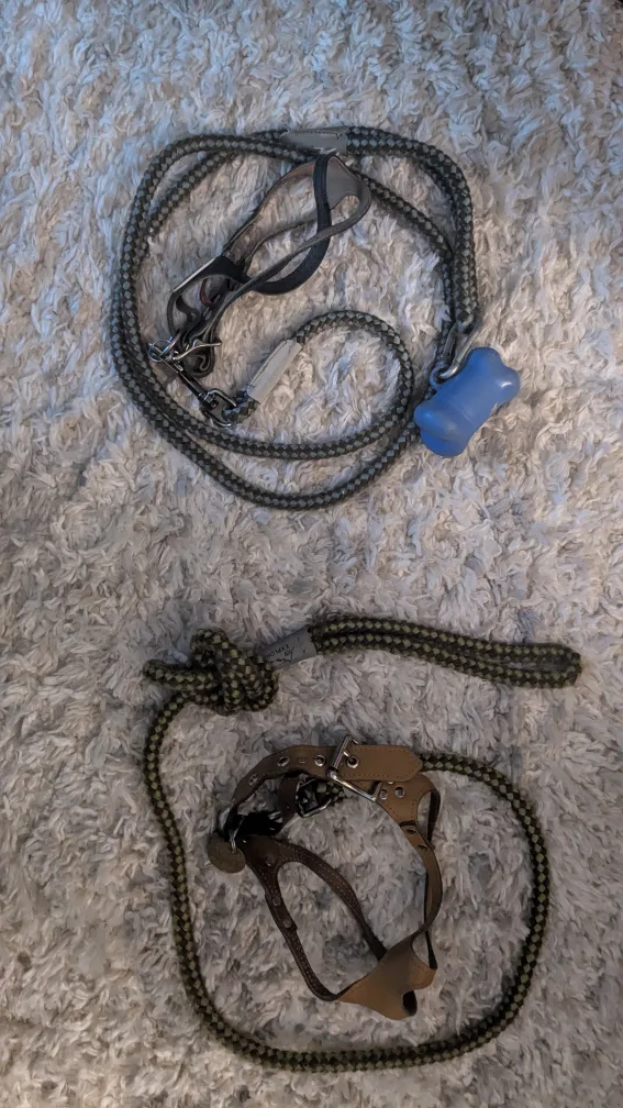 Dog Harness-Buddy Belt Leather and K9 Explorer 6 ft Leash image indicator(2)