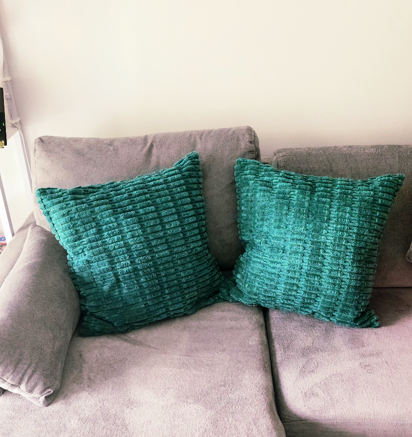 Two throw pillow cases. - photo 2