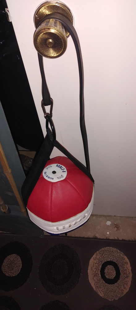ROBLEZA RDBL3-P Boxing Speed Bag