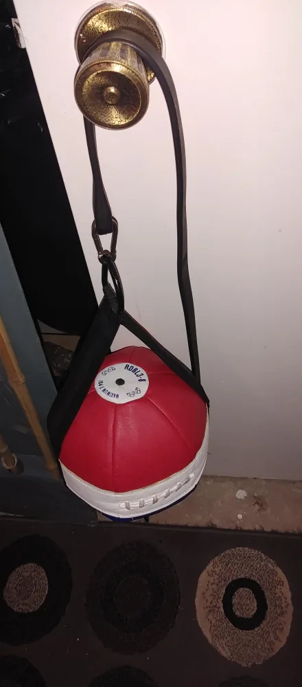 ROBLEZA RDBL3-P Boxing Speed Bag thumbnail