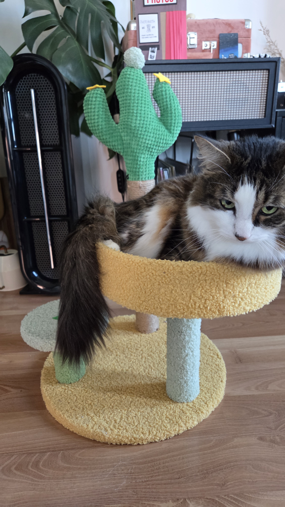small cat tower - photo 4