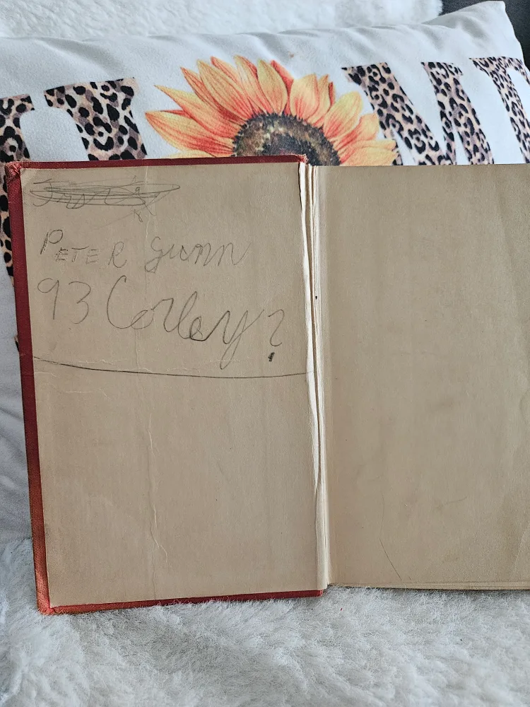 Honey Bunch: Her First Visit to the City by Helen Thorndyke image indicator(4)