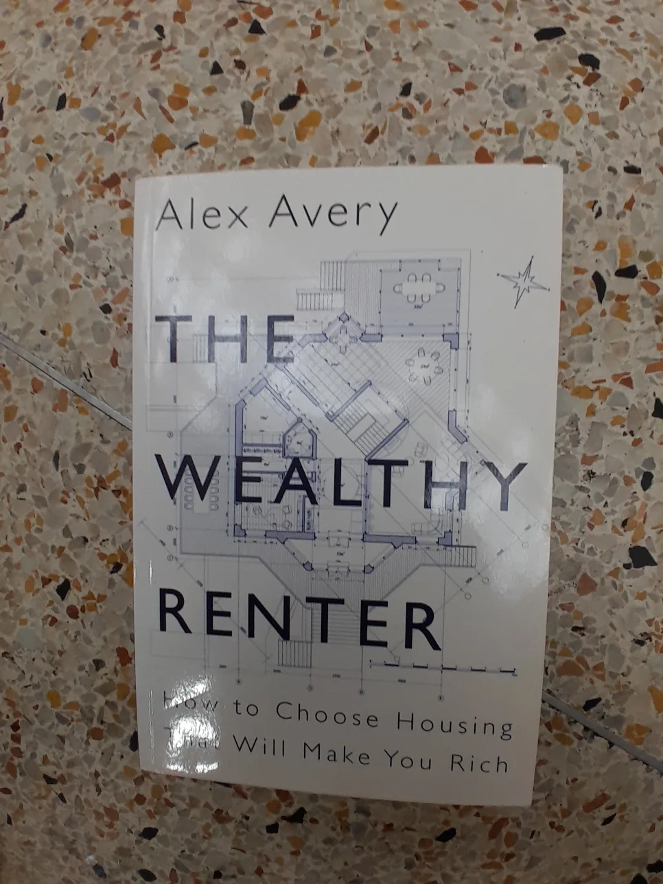 The Wealthy Renter by Alex Avery thumbnail