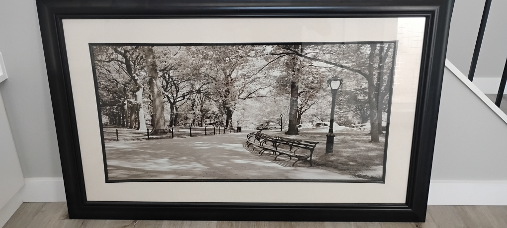 Framed Black and White Park Scene
