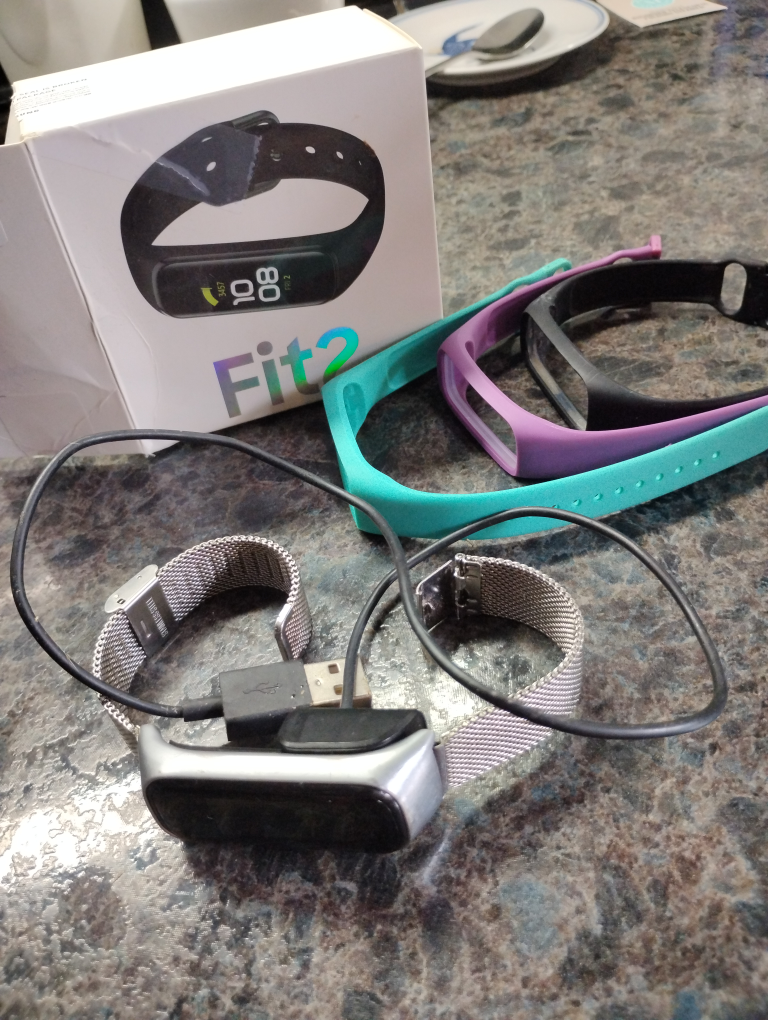 Samsung Galaxy Fit2 with Extra Bands