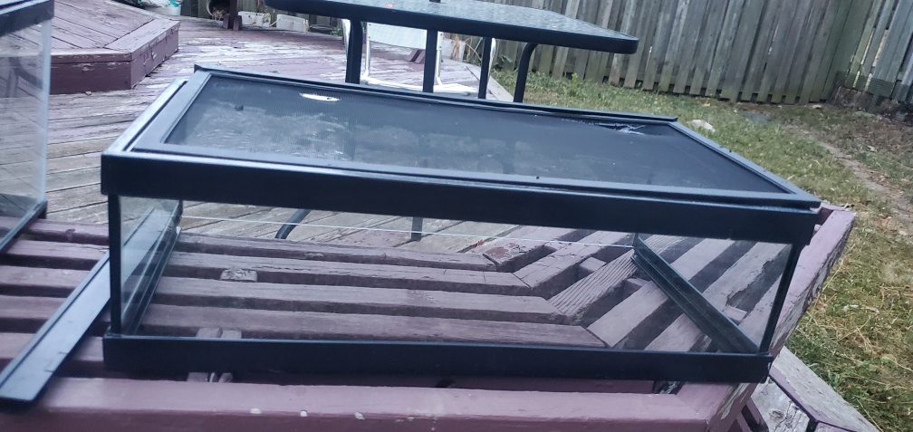 Glass Terrarium Tank with Screen Top - photo 2