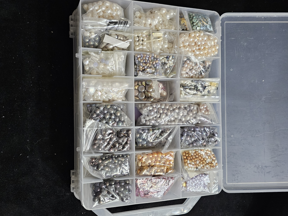 Pearl Beads Collection in Double Sided Storage Case - photo 3