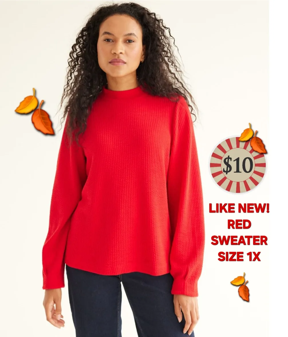 Red Lightweight Sweater  - LIKE NEW! thumbnail