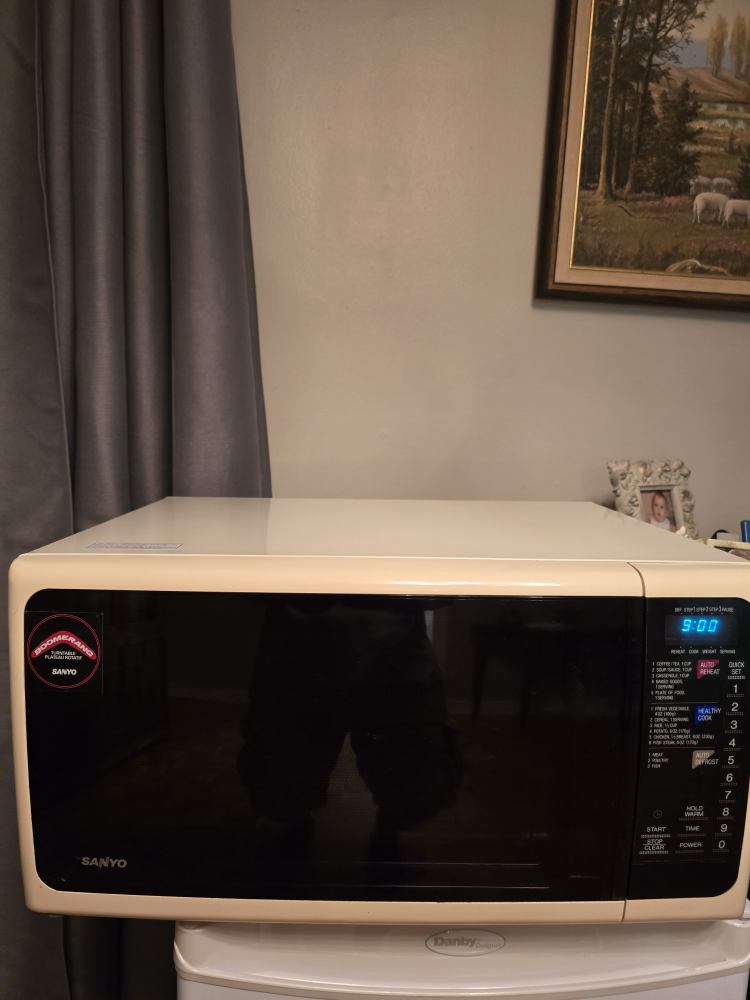 Sanyo Microwave Oven