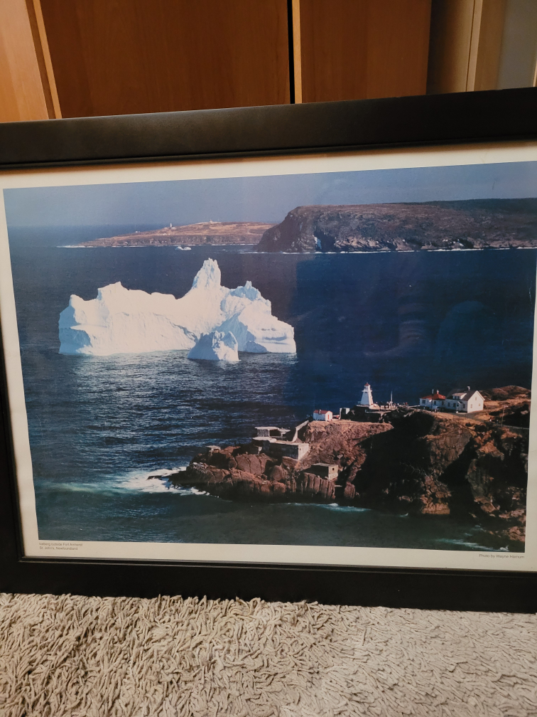 Iceberg outside Fort Amherst St John's NL