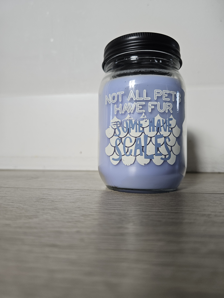 Handcrafted Candle - Not All Pets Have Fur