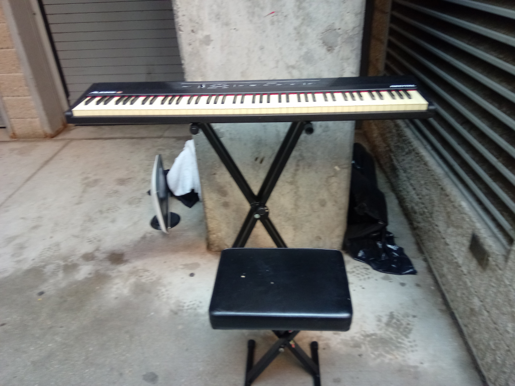 Alesis Recital Pro 88-Key Digital Piano - photo 3