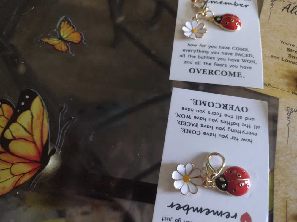 Handmade Pocket Hug Charms - Ladybug, Daisy, Flowers image indicator(3)