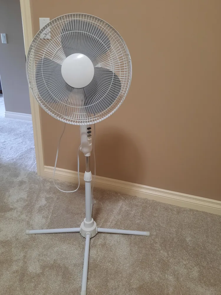 Pedestal fan