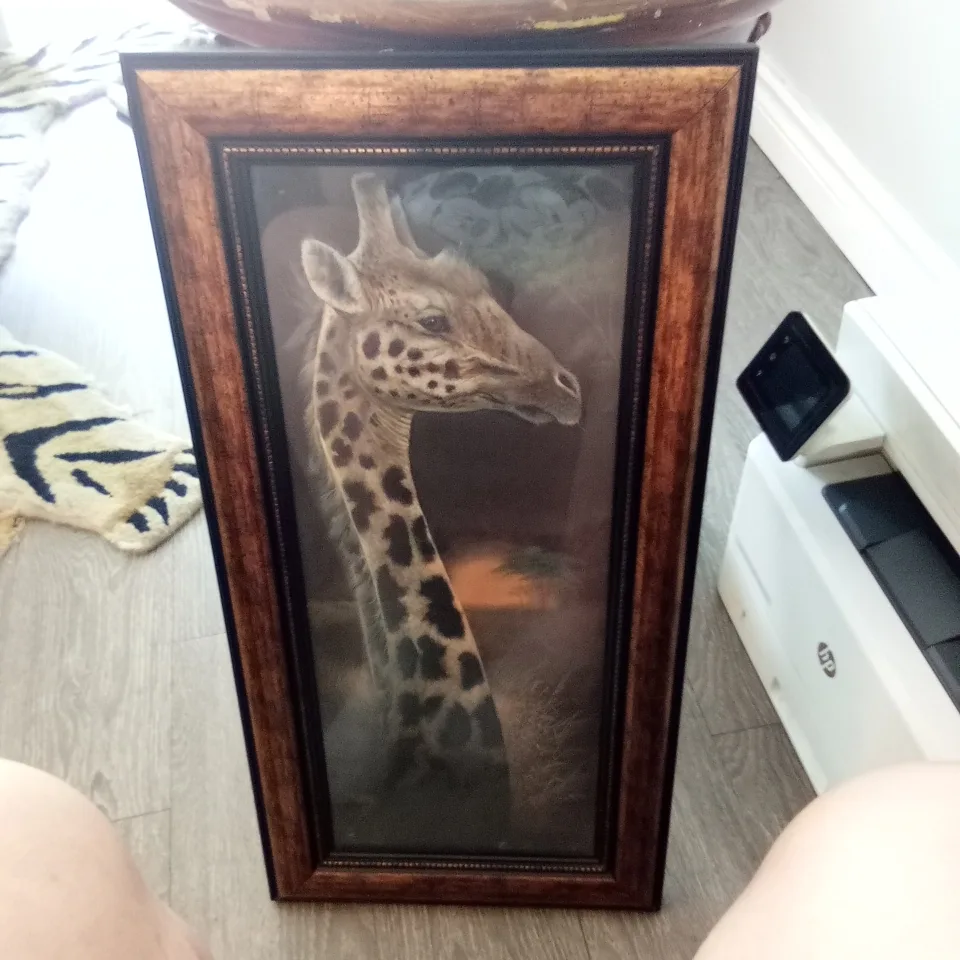 Framed Giraffe Print thumbnail