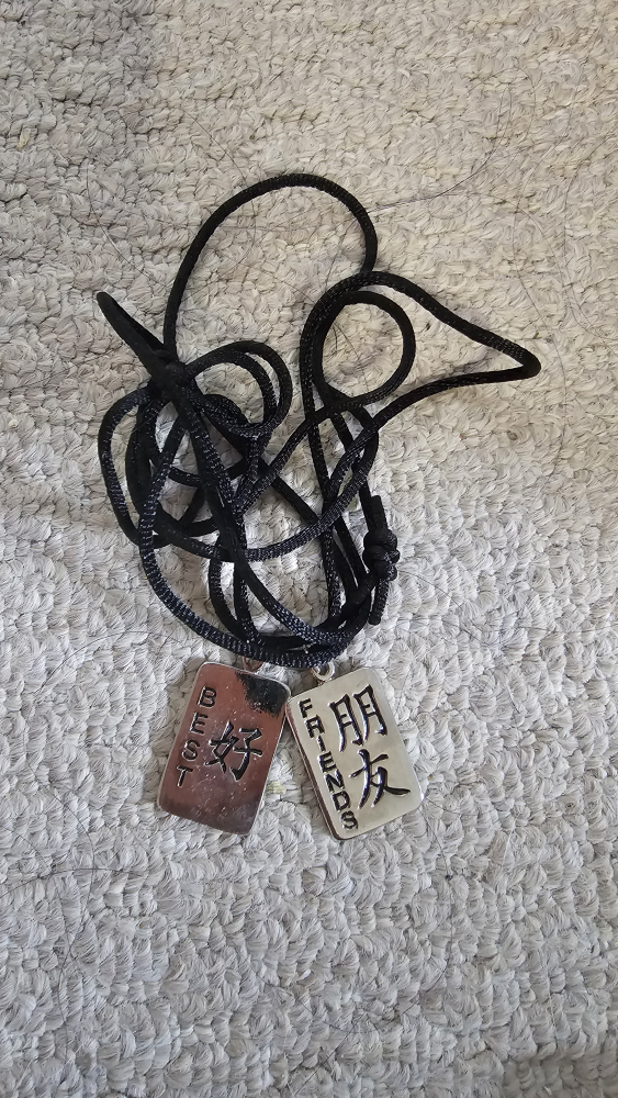 Best Friends Pendants Necklace