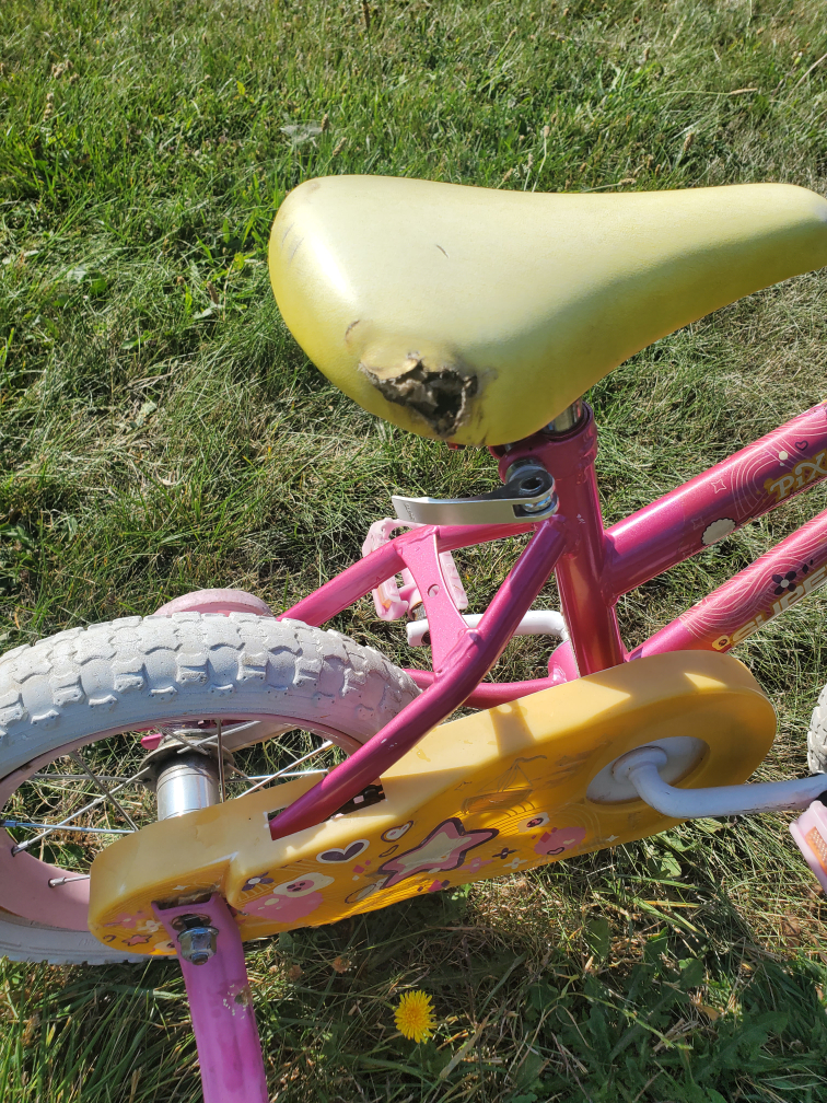 Pink Kids Bike - Training Wheels - photo 2