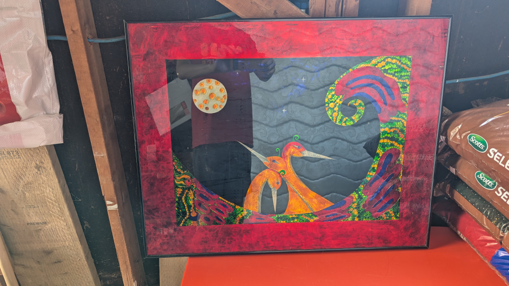 Framed Bird Art