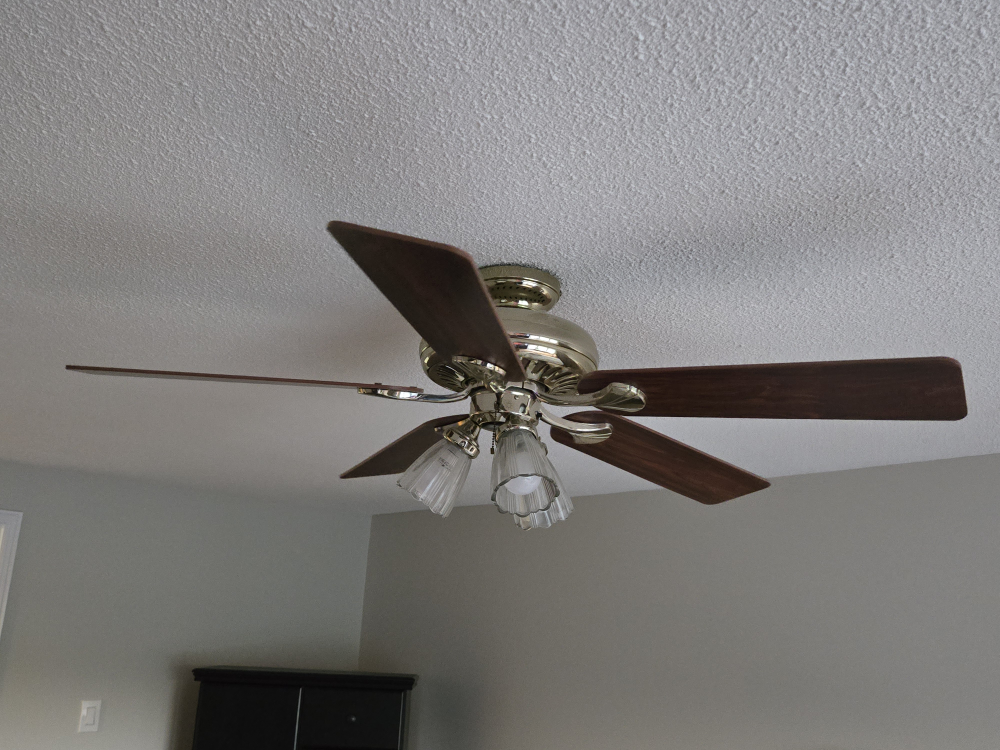 Ceiling Fan with Light Fixture - photo 4