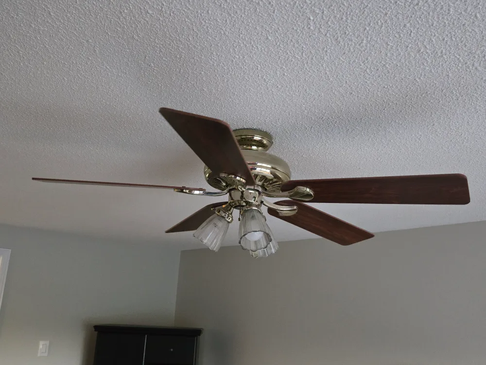 Ceiling Fan with Light Fixture image indicator(4)