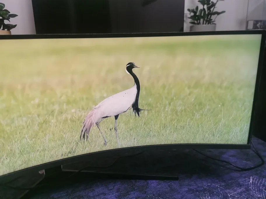 Samsung NEO G9 MONITOR 49" (5120 x 1440) image indicator(6)