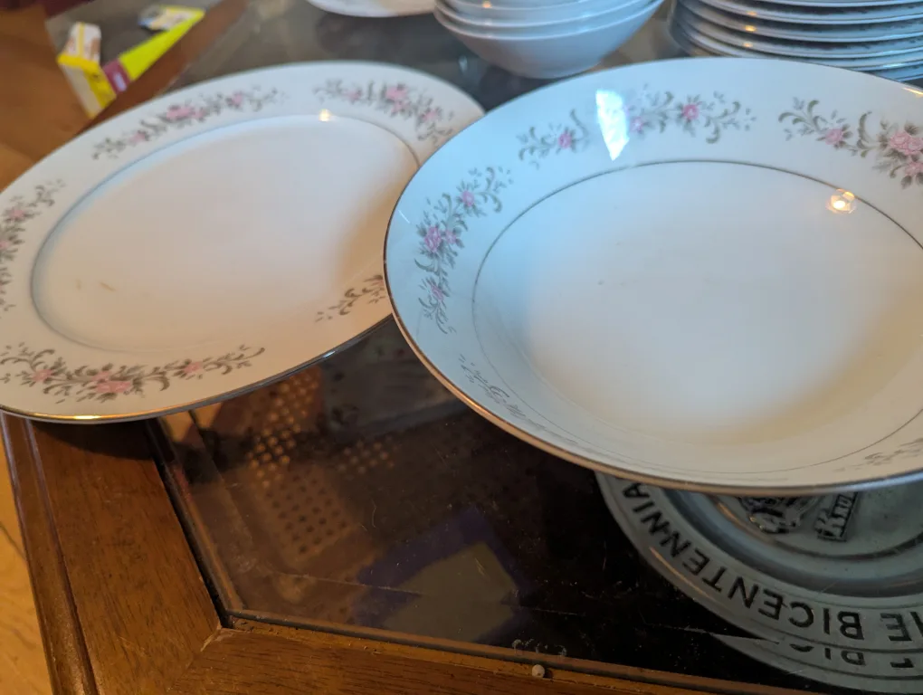 Premiere Fine China Rose Garden Dinnerware Set now 12 pc setting image indicator(6)