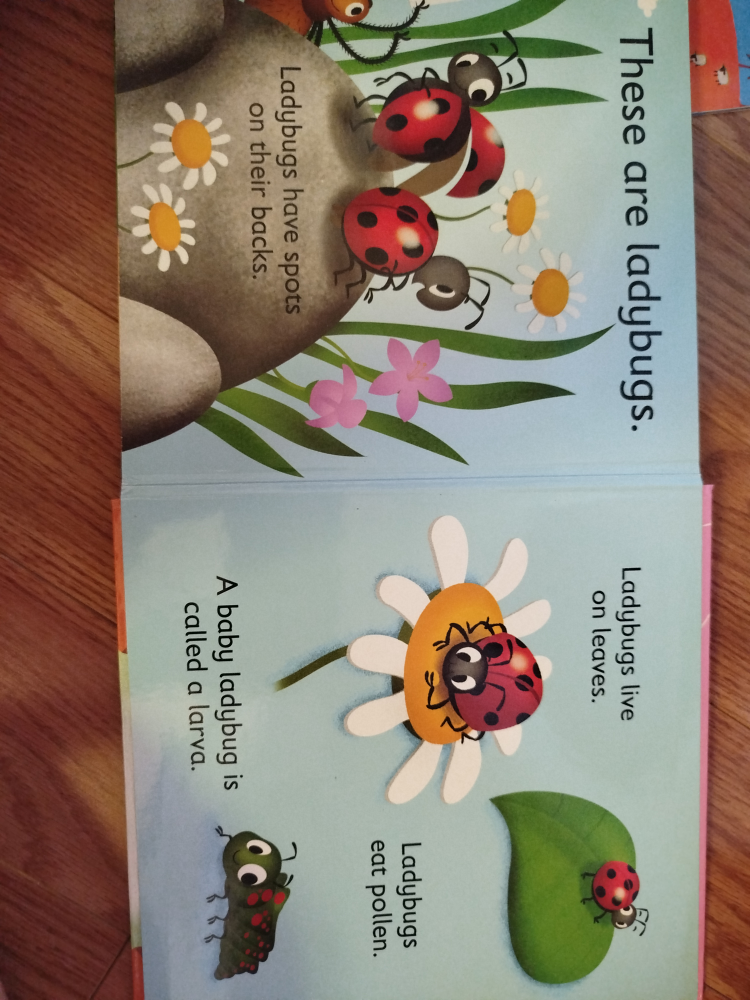First Animal Facts Garden Book - photo 2